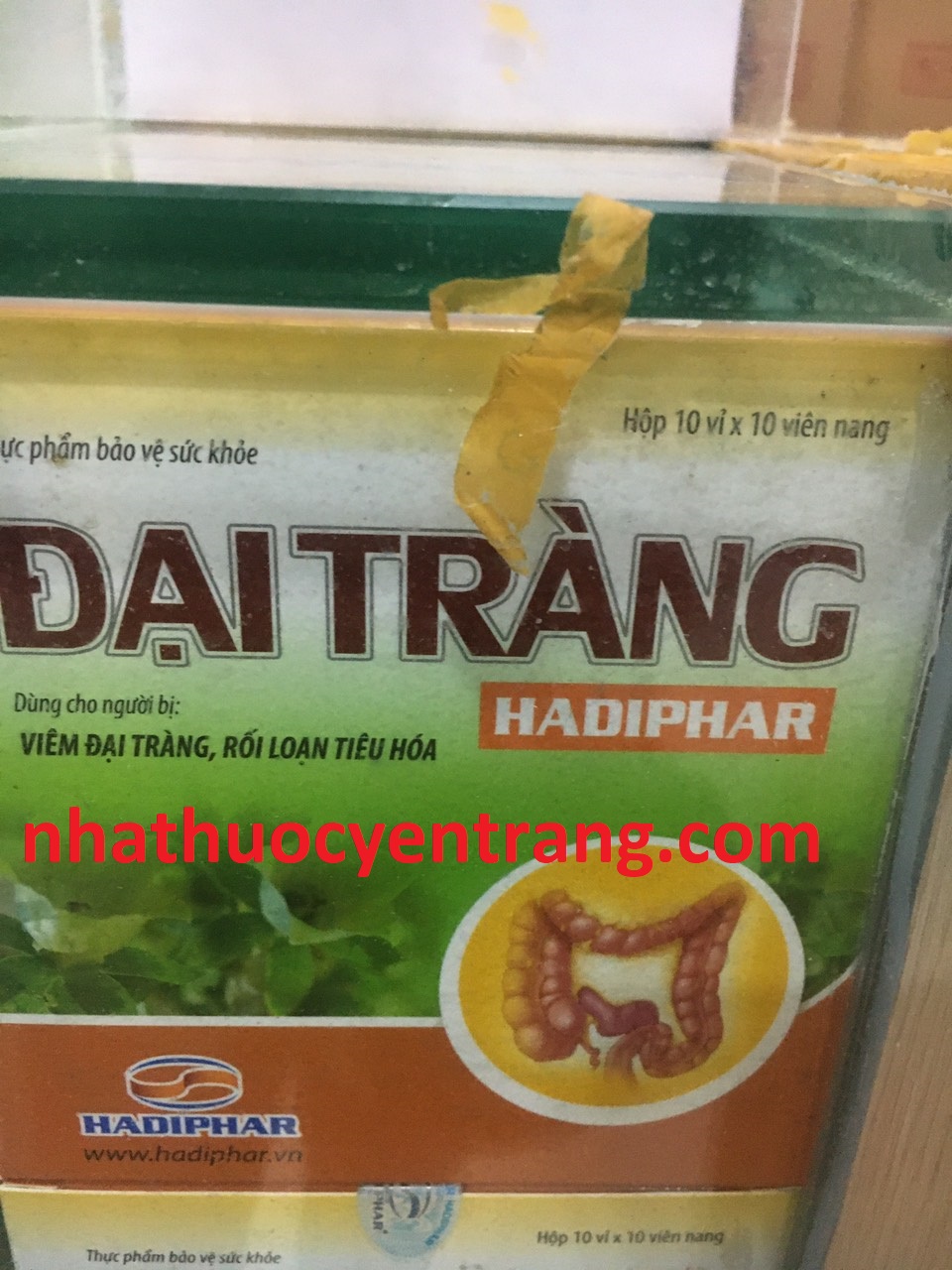 Đại Tràng Hadiphar