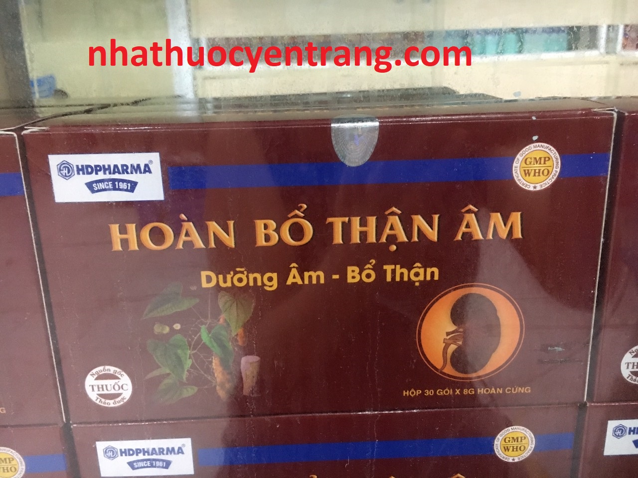 Hoàn Bổ Thận Âm Hải Dương