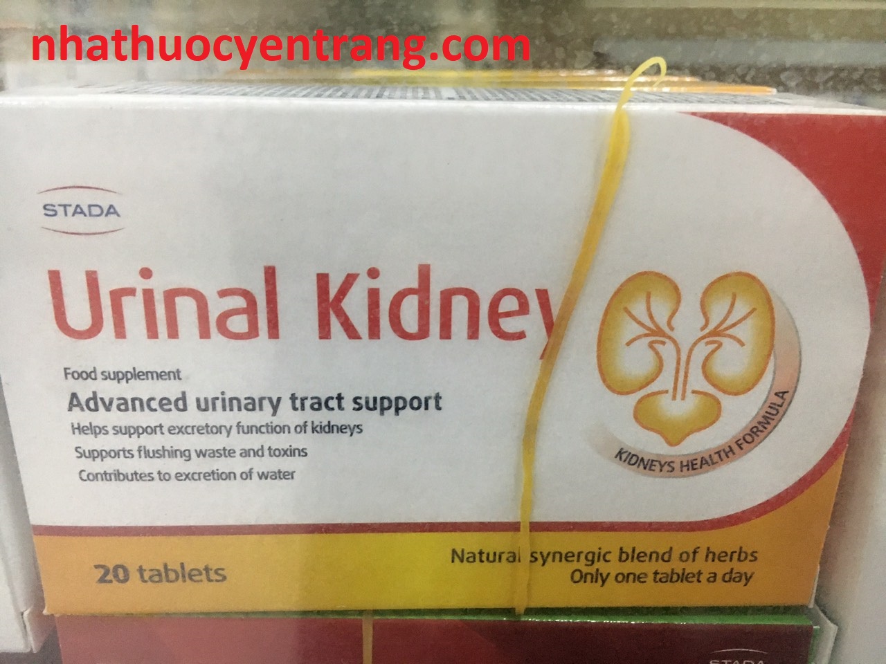 Urinal Kidney