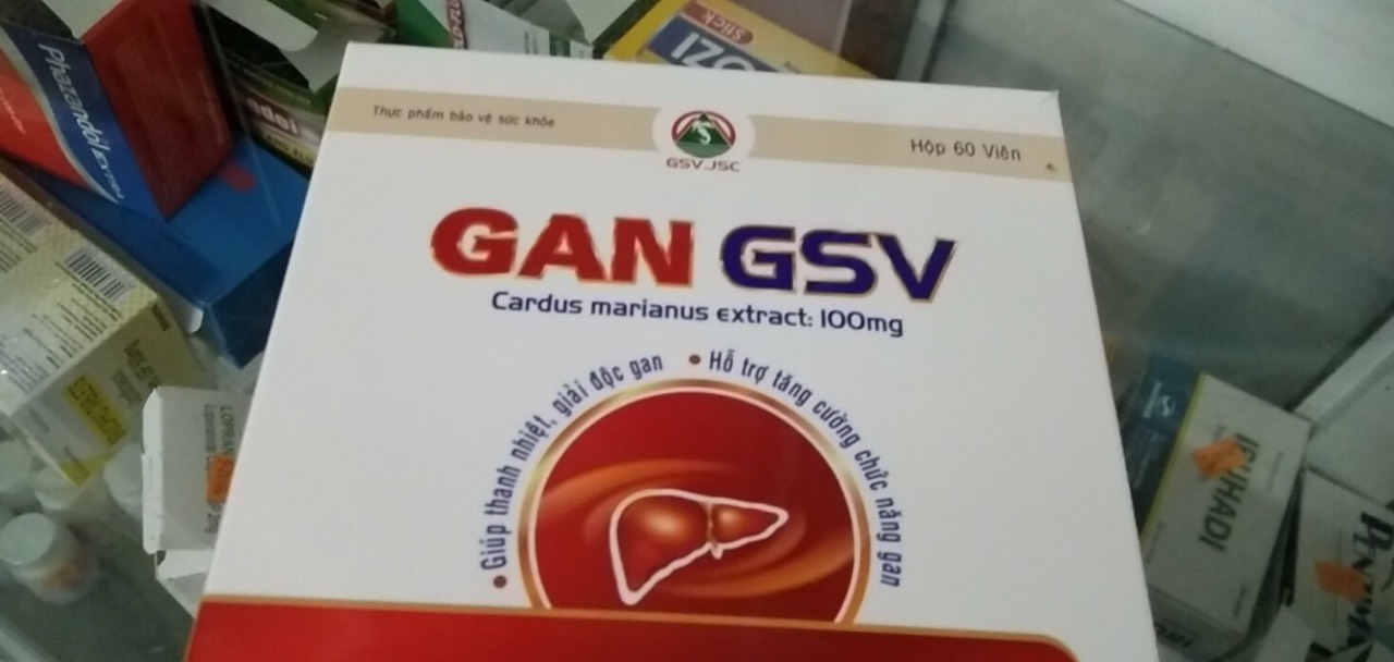 Gan GSV