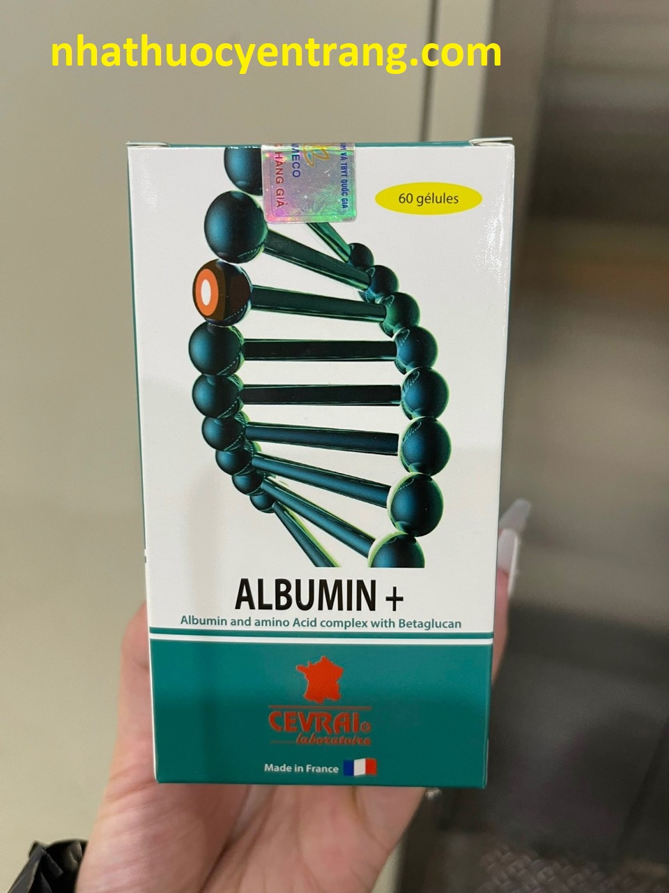 Albumin +