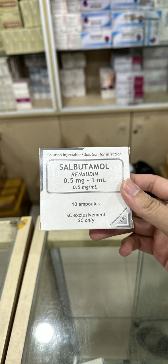 Salbutamol Renaudin 0.5mg/ml