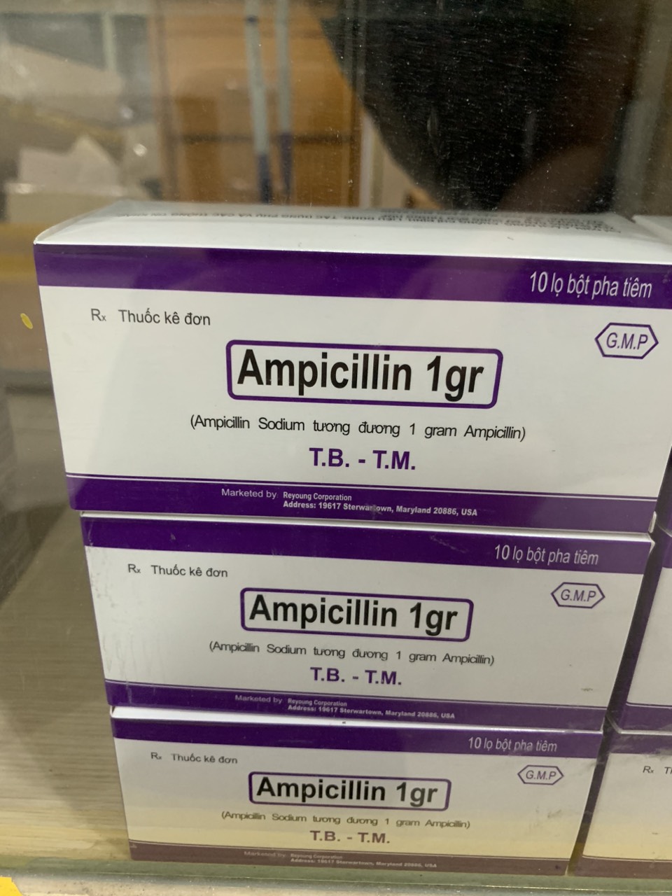 Ampicillin 1g Mỹ