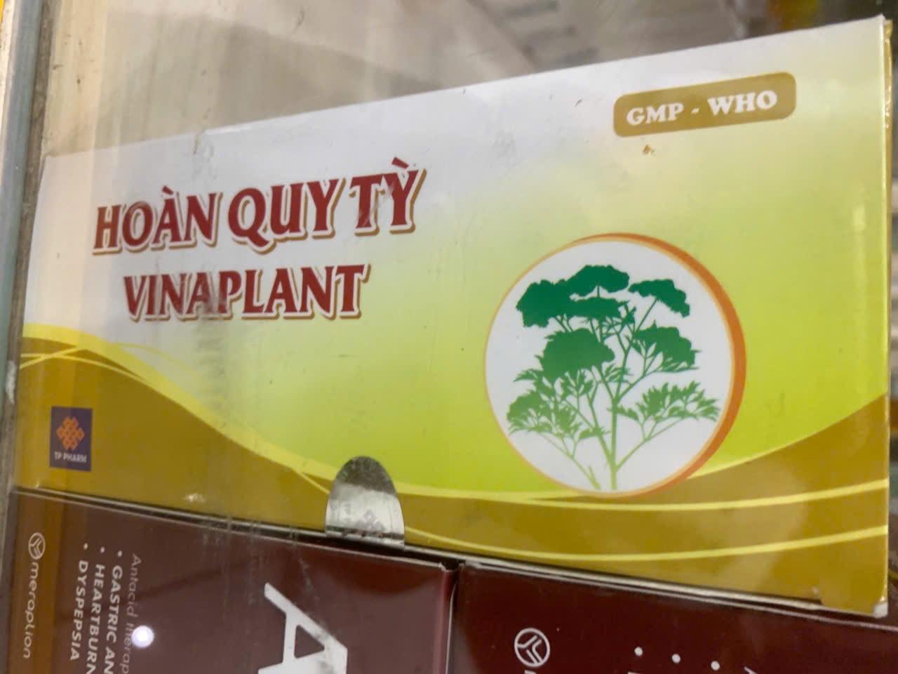 Hoàn Quy Tỳ Vinaplant