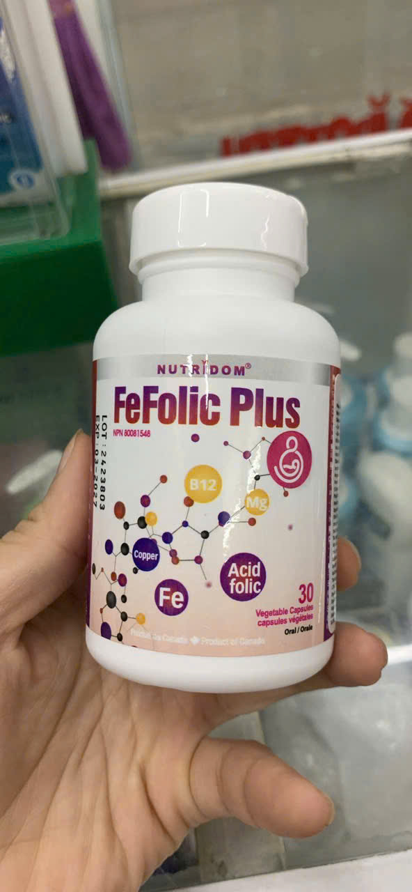 NUTRIDOM FEFOLIC PLUS