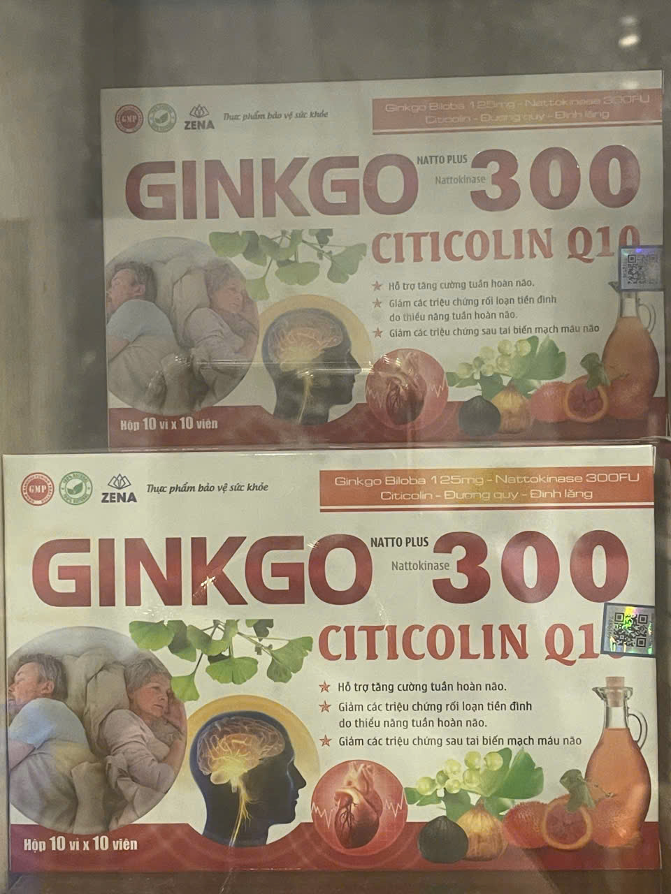 Ginkgo Natto Plus 300 Citicolin Q10
