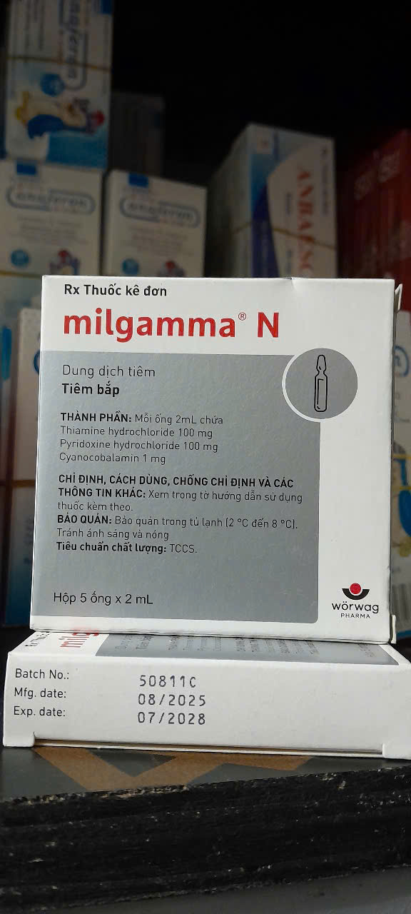 Milgamma N