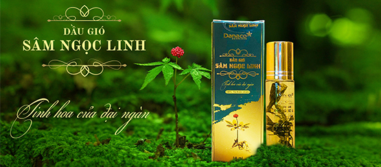Sâm Ngọc Linh - Công ty cổ phần Danaco Quảng Nam