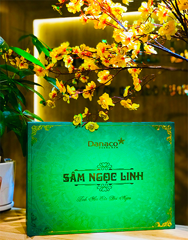 Sâm Ngọc Linh - Công ty cổ phần Danaco Quảng Nam