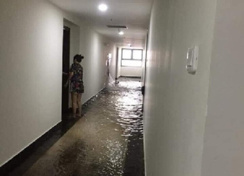 Phòng chống ngập và bảo vệ tài sản trong mùa mưa bão