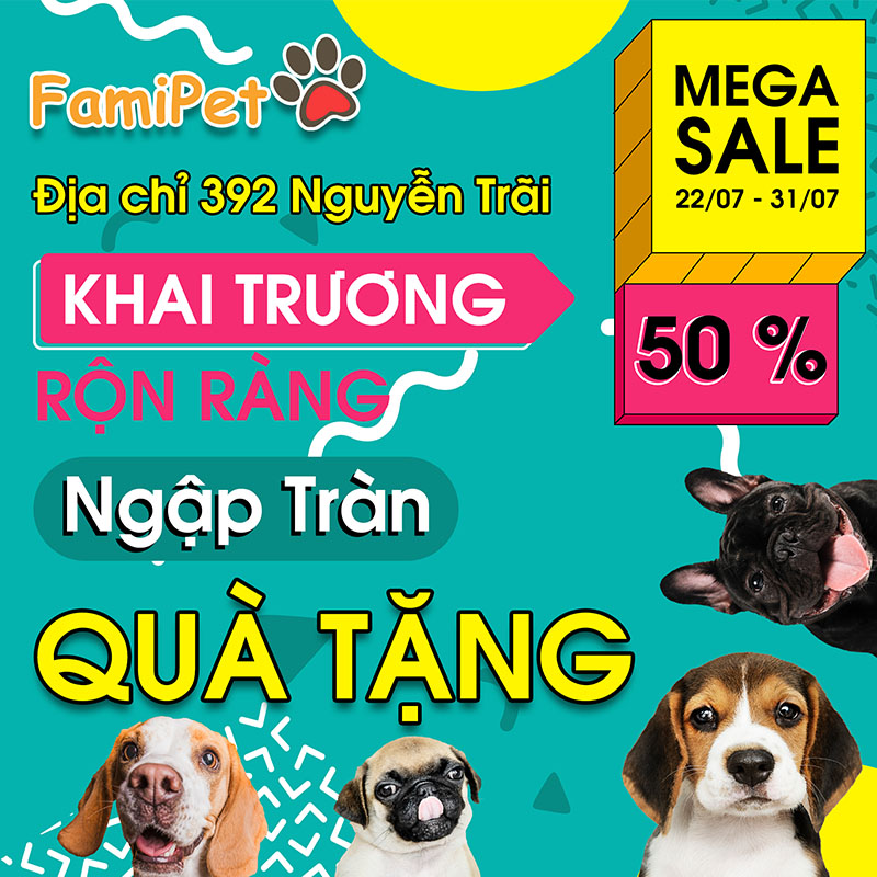 Khai Trương FamiPet cơ sở 2 tại 392 Nguyễn Trãi (Gần đường Phùng Khoang)