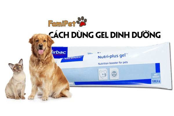 Cách dùng gel dinh dưỡng đơn giản nhất quả đất!!