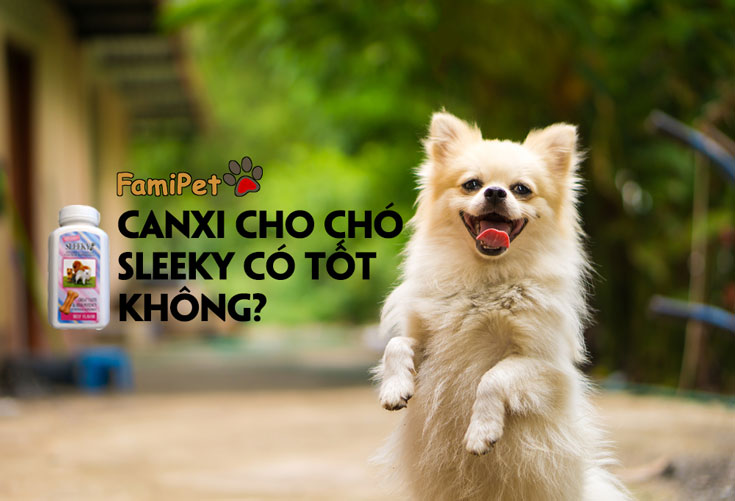 Canxi cho chó Sleeky: Viên canxi thần kỳ!!