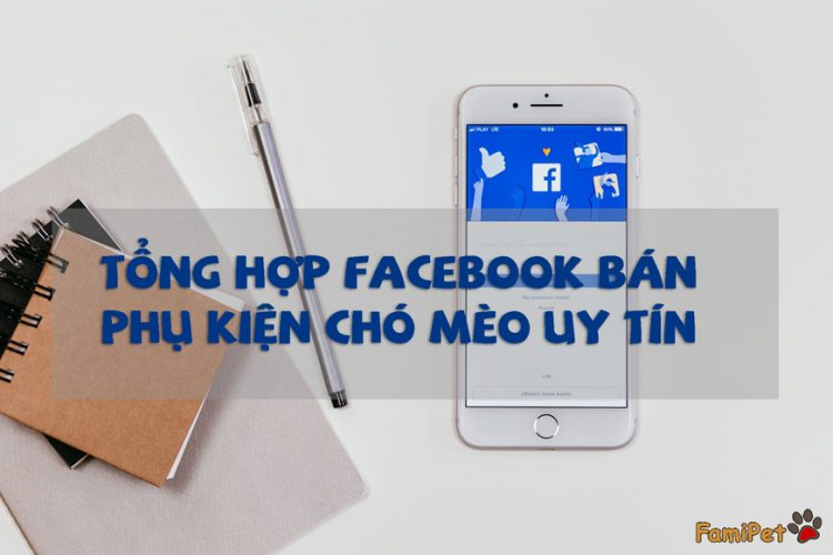 Tổng hợp những trang Facebook bán phụ kiện chó mèo uy tín