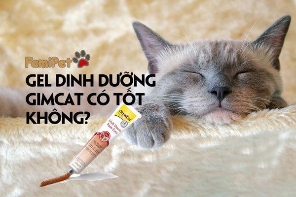 Gel dinh dưỡng GimCat: Hàng ngoại liệu chất lượng có tốt?