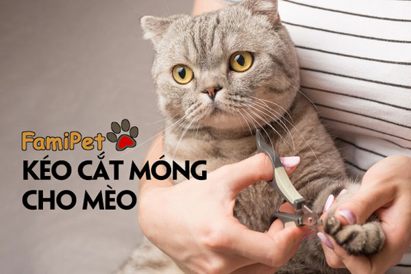 Kéo cắt móng cho mèo có 