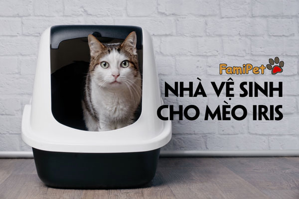 Nhà vệ sinh cho mèo Iris hữu ích nhân 3!