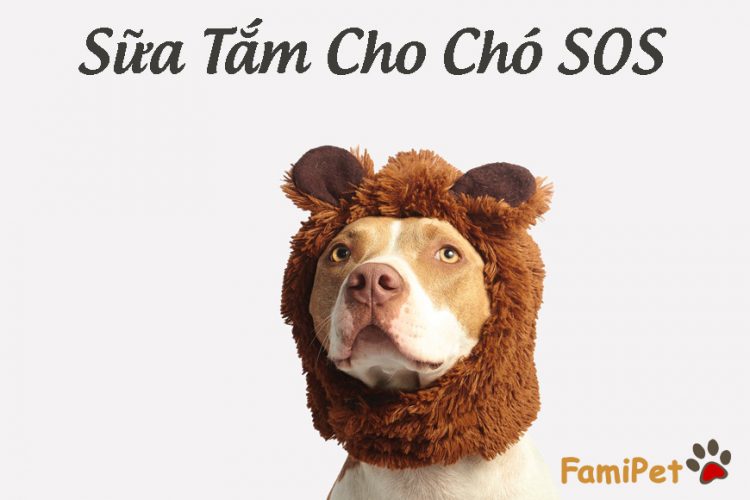 Sữa tắm cho chó SOS - Cùng 