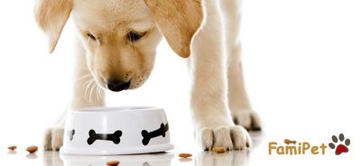 Thức ăn cho chó pedigree có tốt không?