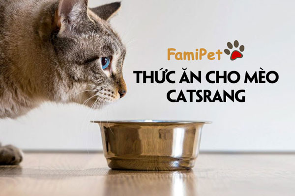 Thức ăn cho mèo Catsrang có đáng sử dụng không?