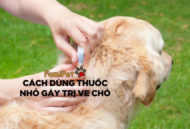 Cách sử dụng thuốc nhỏ gáy trị ve chó đúng cách, an toàn