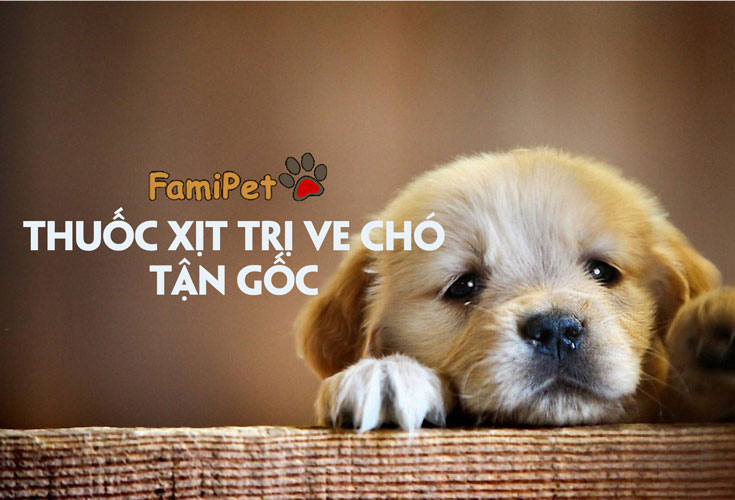 Thuốc xịt trị ve chó: 