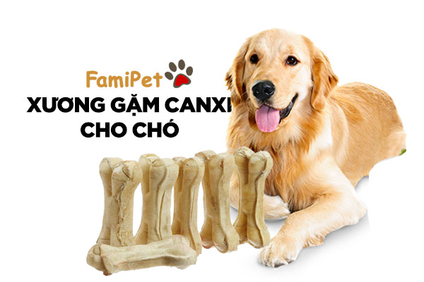 Đây là lí do bạn nên mua xương gặm canxi cho chó nhà mình ngay!