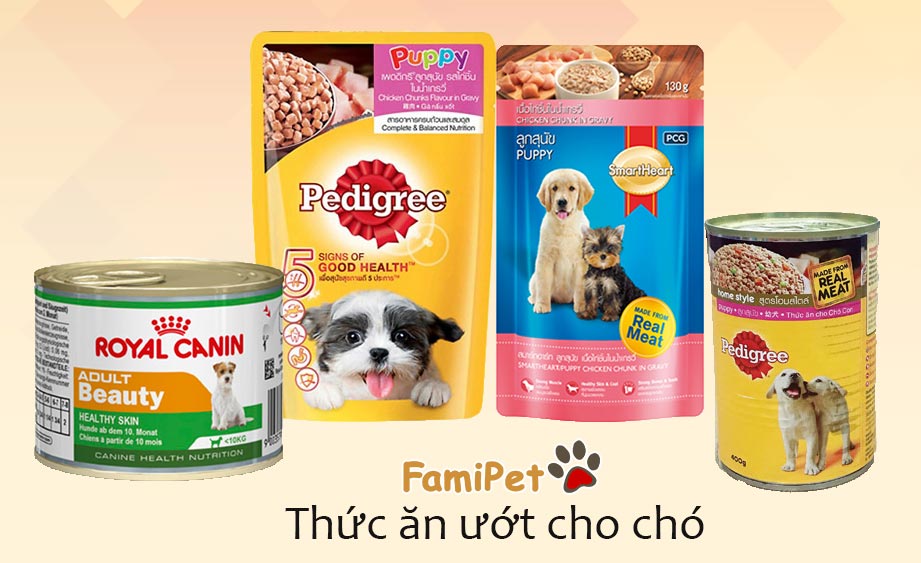 các loại thức ăn ướt cho chó