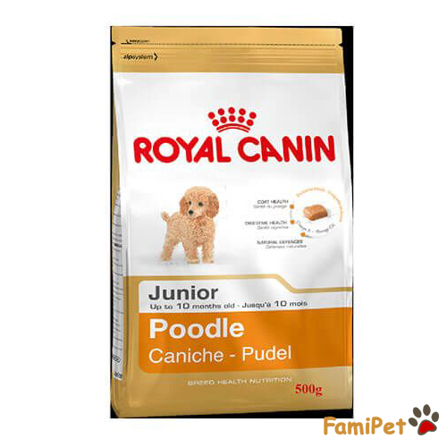Cách sử dụng thức ăn khô cho chó Poodle đúng cách nhất Famipet.vn Cách Sử Dụng Thức Ăn Khô Cho Chó Poodle Đúng Cách Nhất Famipet.Vn