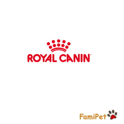 Giảm SỐC giá thức ăn cho mèo Royal Canin tại HÀ NỘI