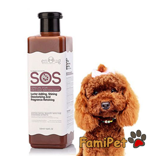 sữa tắm cho chó poodle nâu