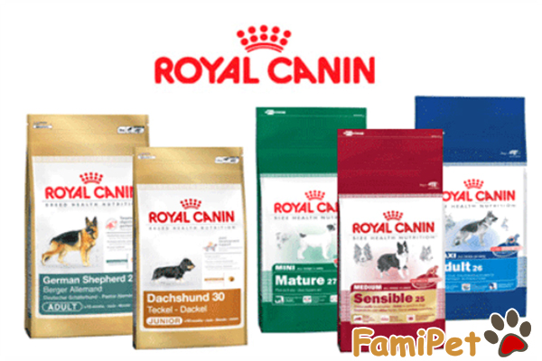 thức ăn khô cho chó Royal Canin