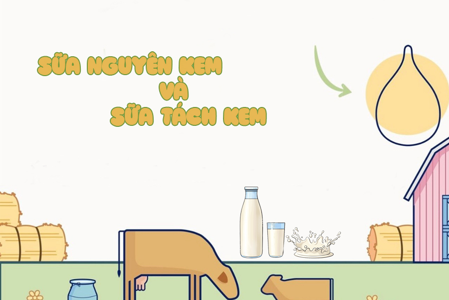 So sánh sữa bột nguyên kem và sữa bột tách béo loại nào tốt hơn?