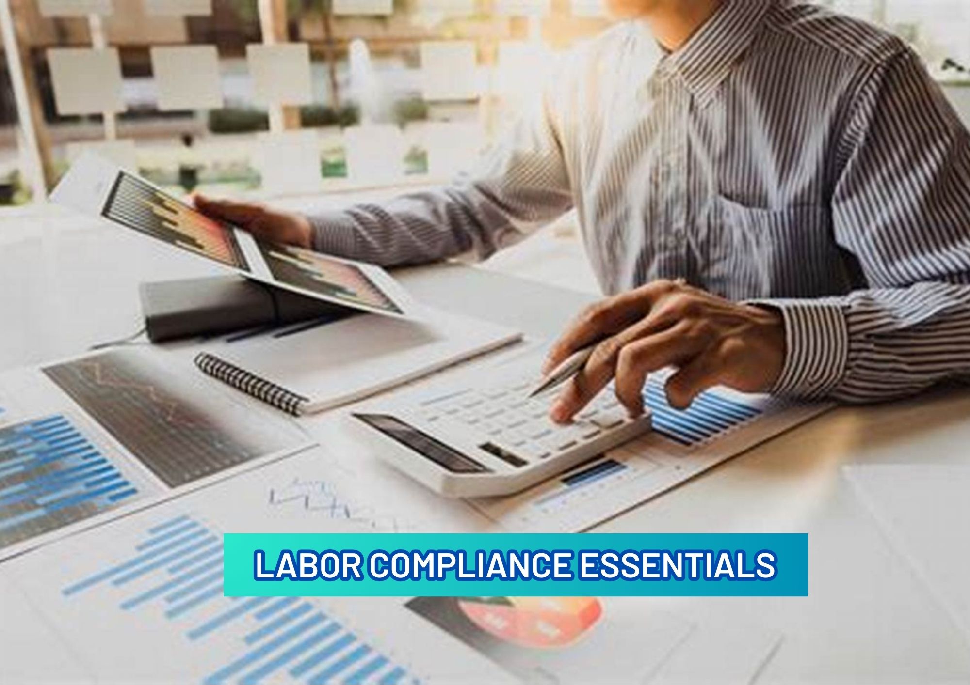 KEY FINANCIAL OBLIGATIONS FOR FDI'S COMPANIES