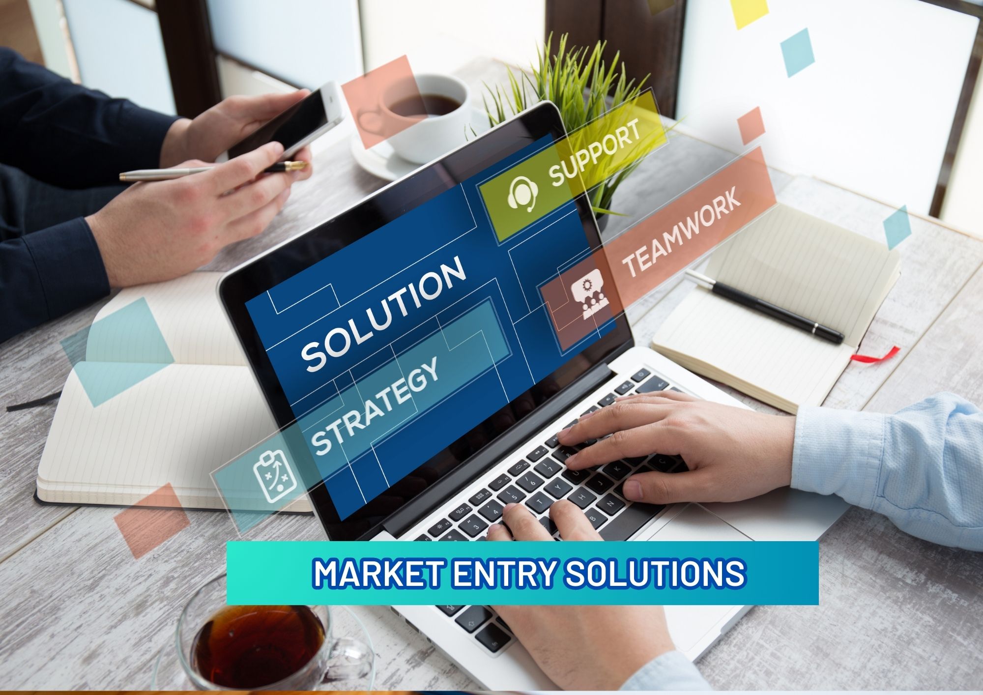 TRADE DELEGATION & MARKET ENTRY SOLUTIONS