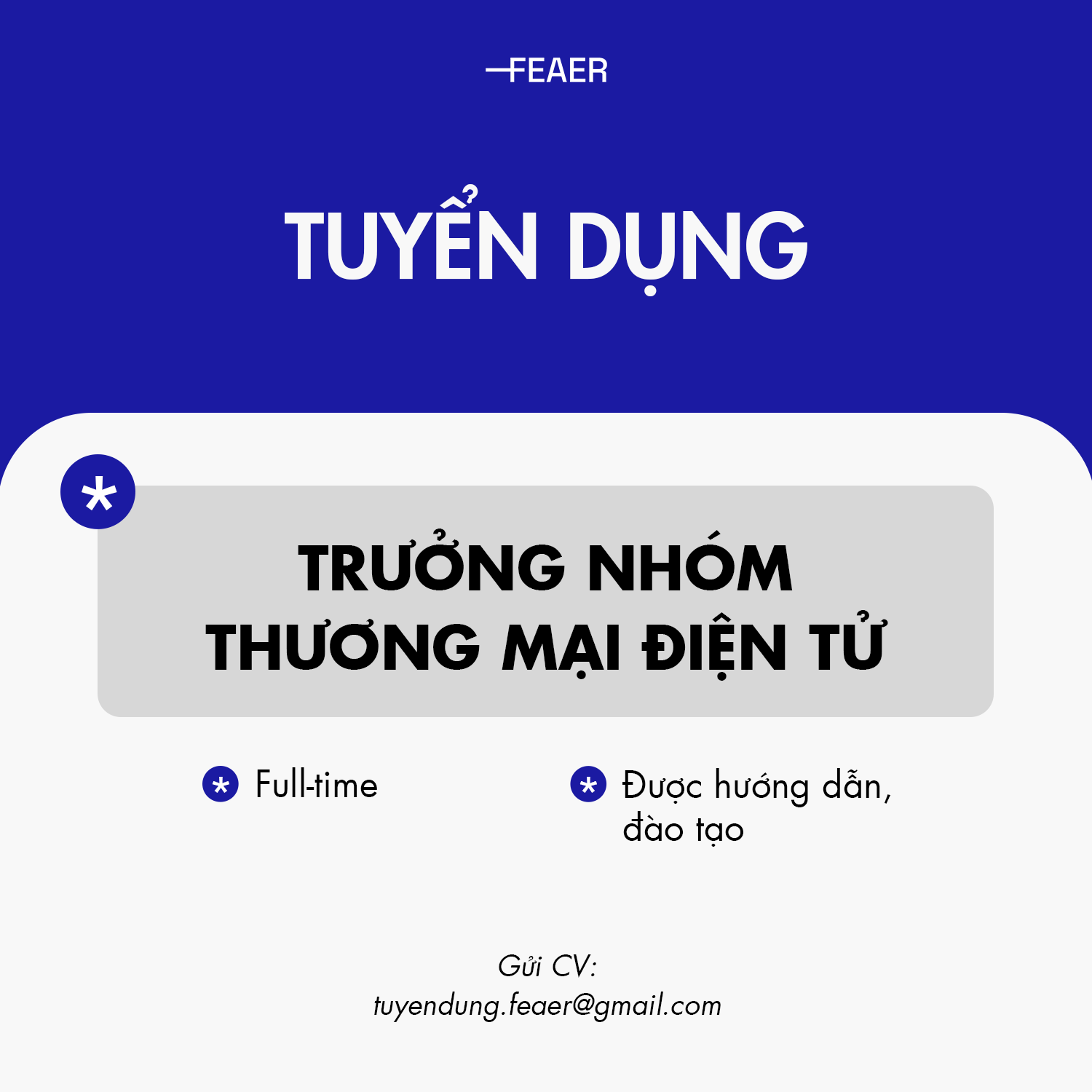E-Commerce Team Leader - Trưởng Nhóm Thương Mại Điện Tử