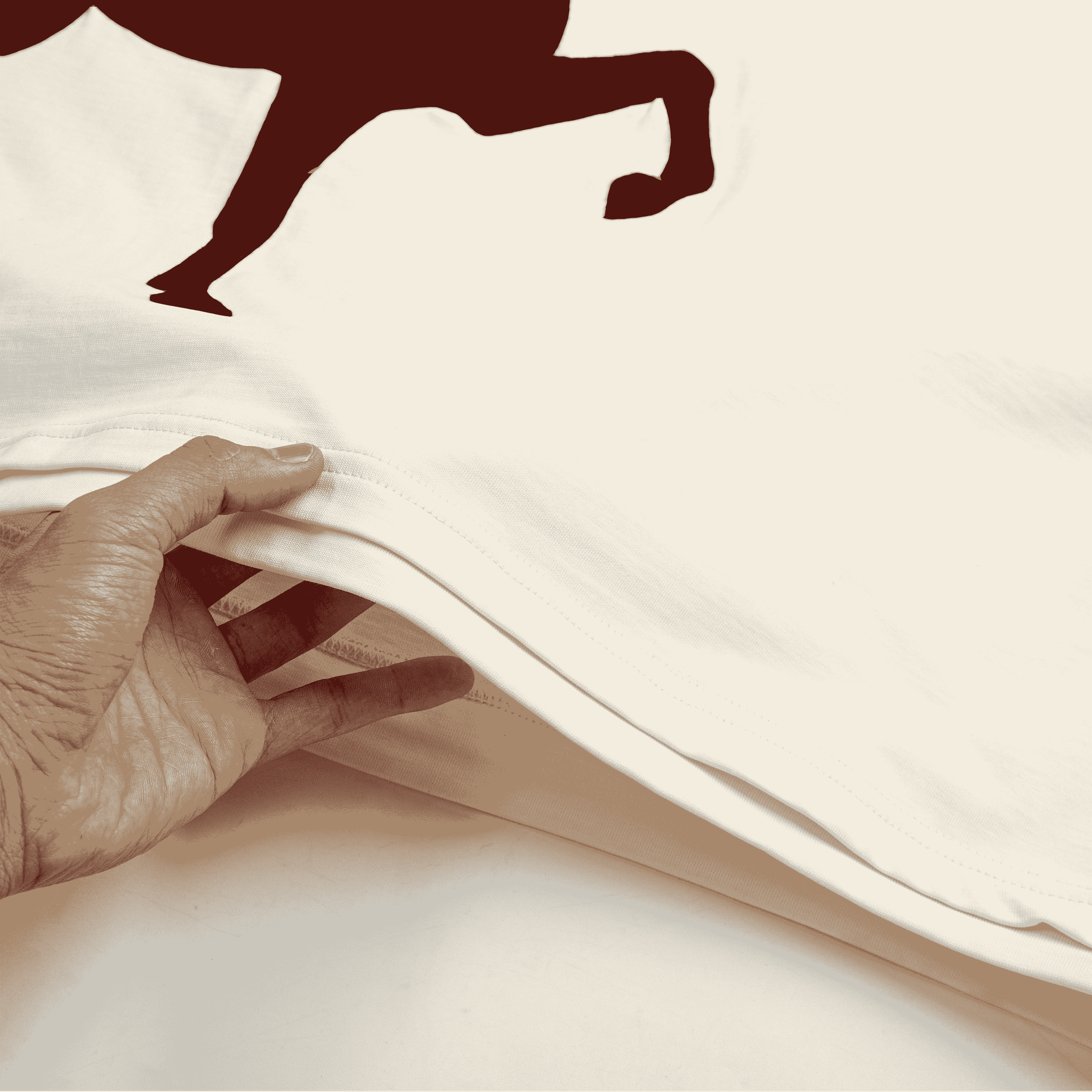 SP811 - Áo Thun Poney V2