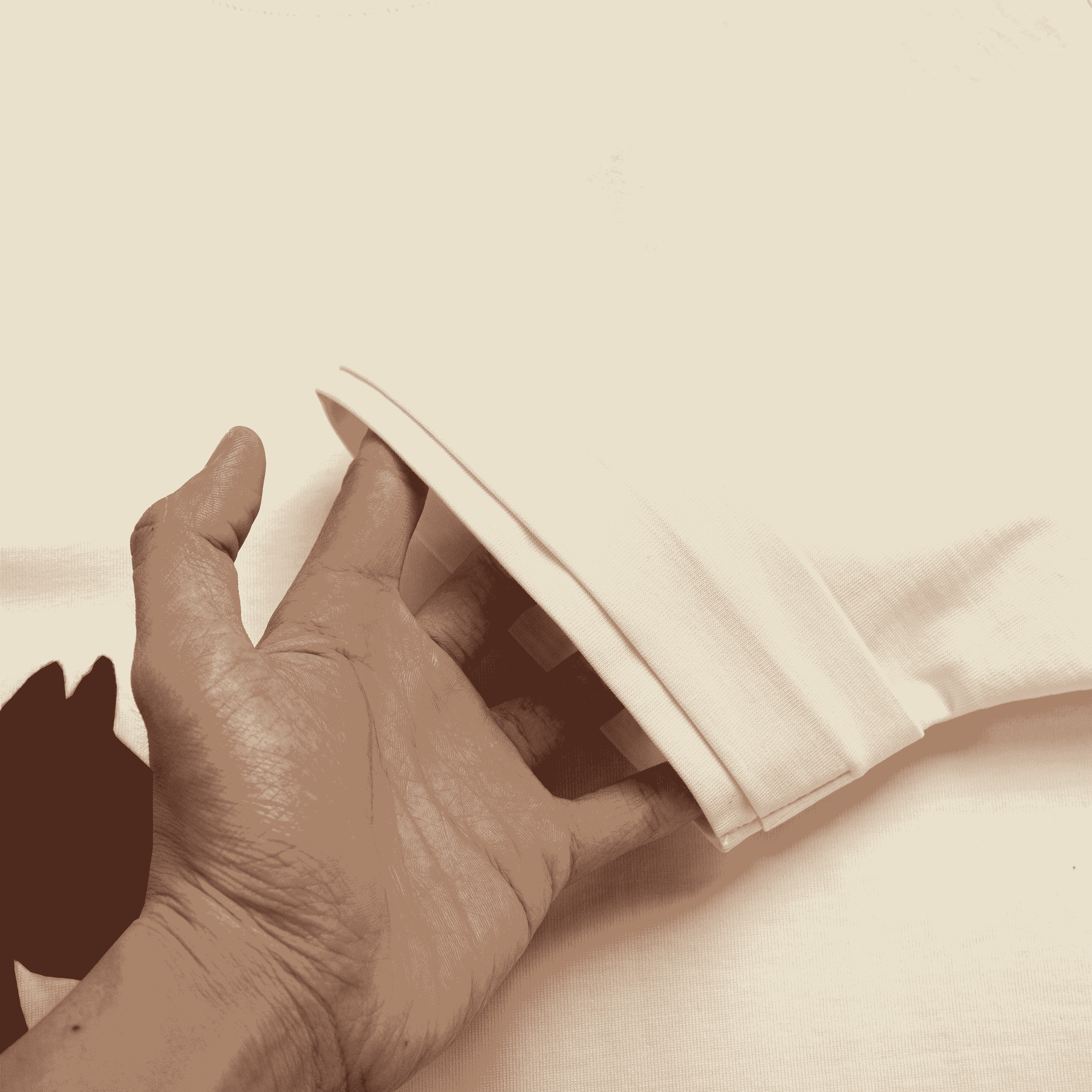 SP811 - Áo Thun Poney V2