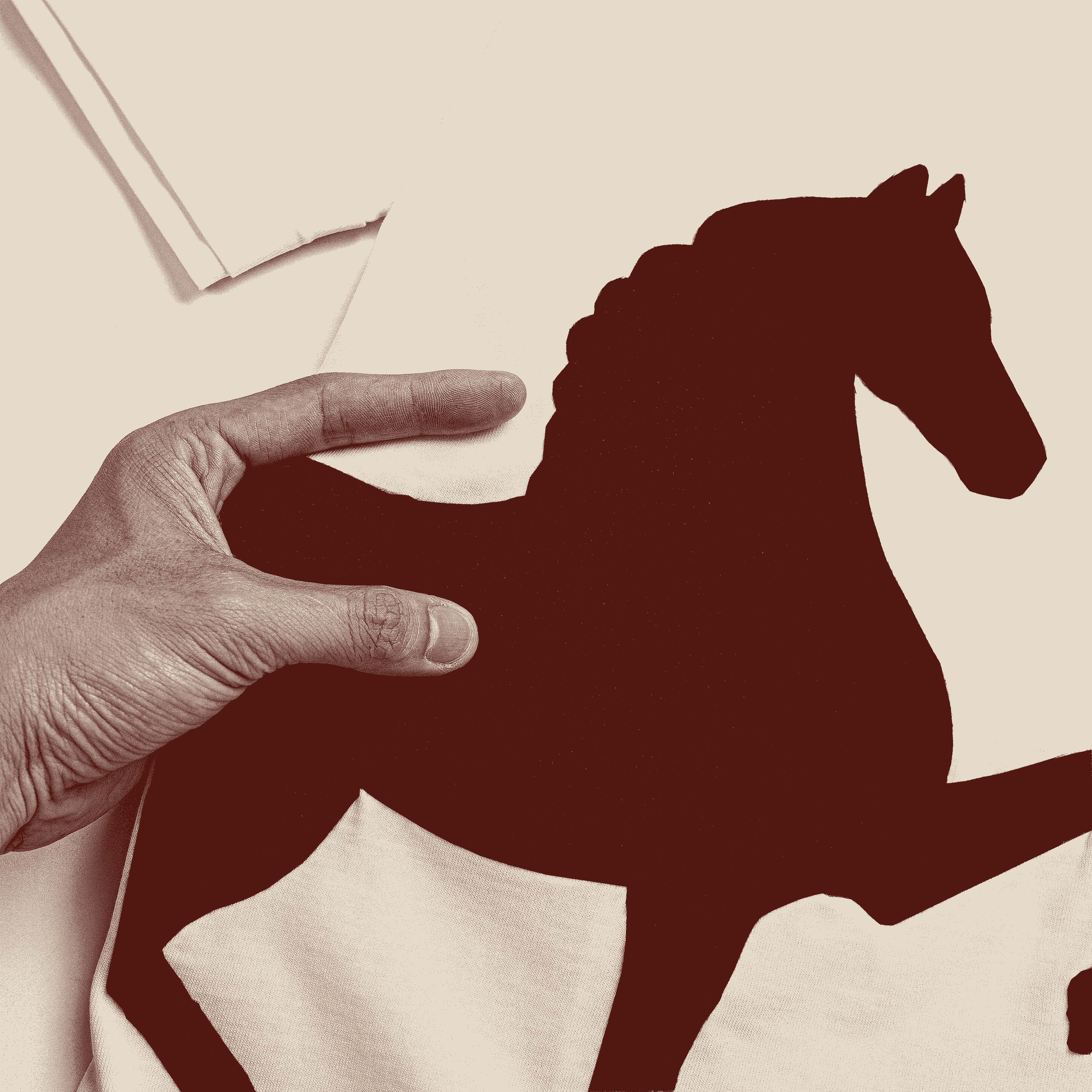 SP811 - Áo Thun Poney V2