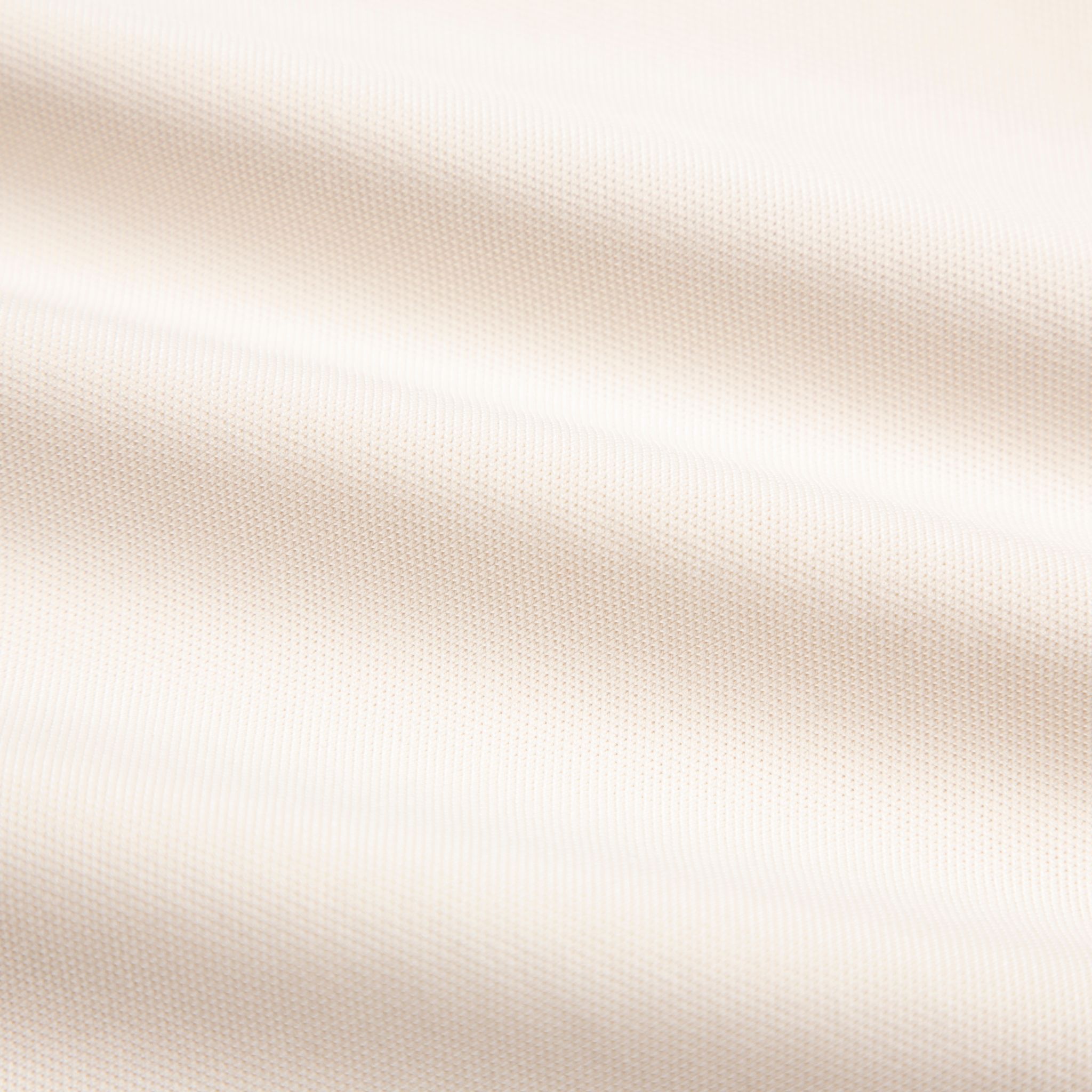 SP577 - Áo Polo Rabbit