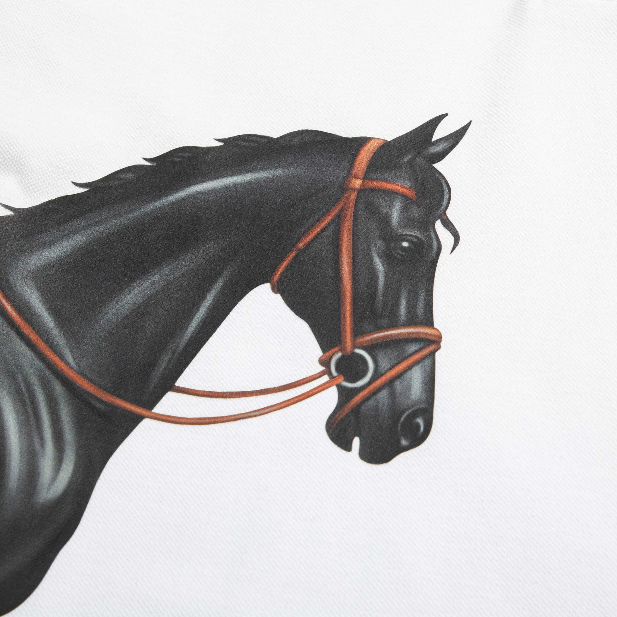 SP805 - Áo Polo Akhal