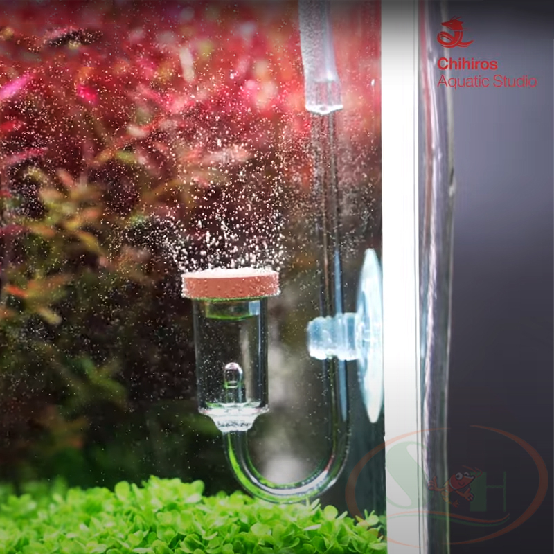 Đầu sủi co2 Chihiros Nano Diffuser khuếch tán bọt mịn - Shrimp Home