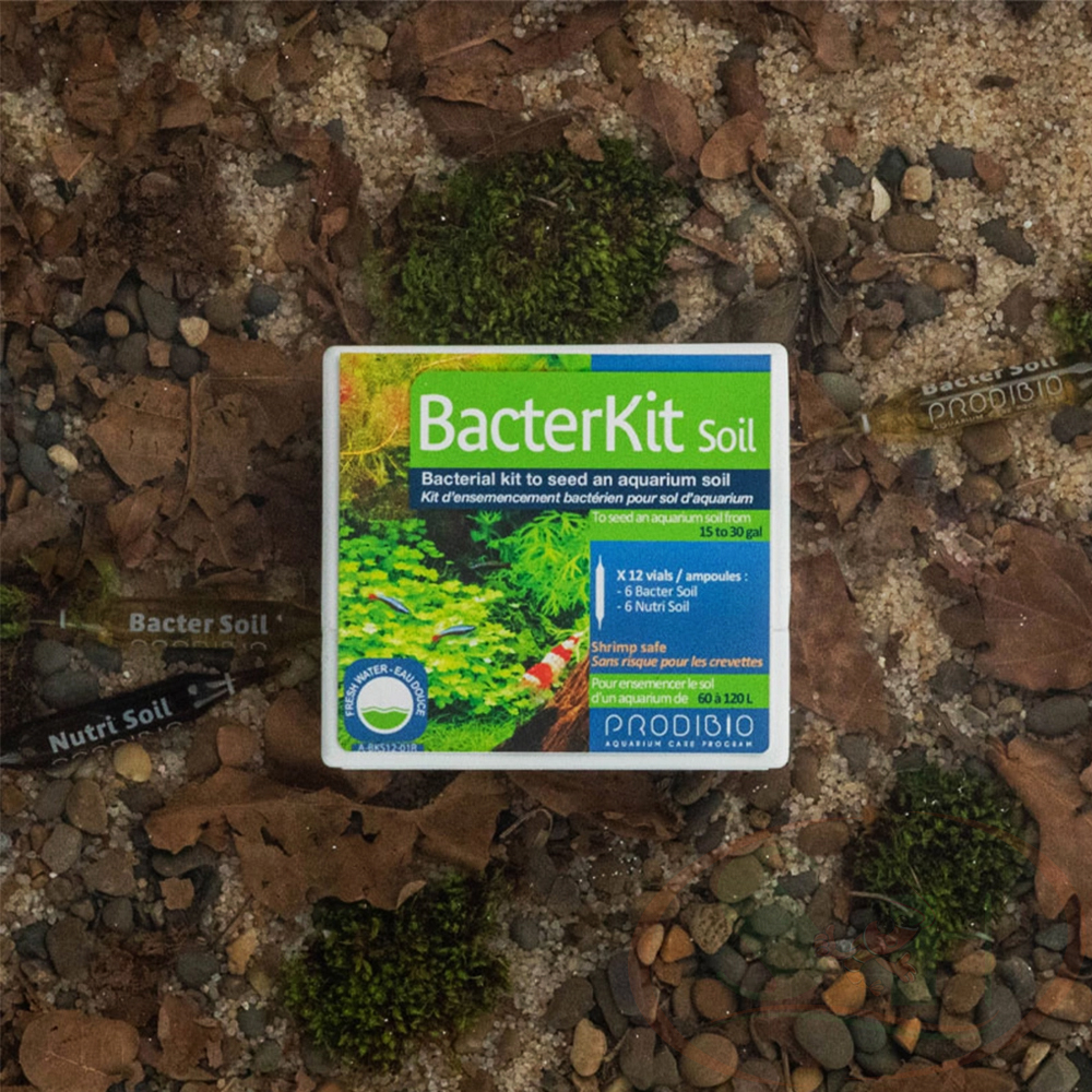 Prodibio Vi sinh dưỡng nền Prodibio BacterKit Soil khởi tạo bể - Shrimp Home
