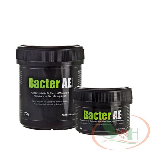 https://bizweb.dktcdn.net/100/347/239/products/watermarked-glasgarten-bacter-ae-0.jpg?v=1677811370230