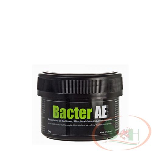 GlasGarten Bacter AE