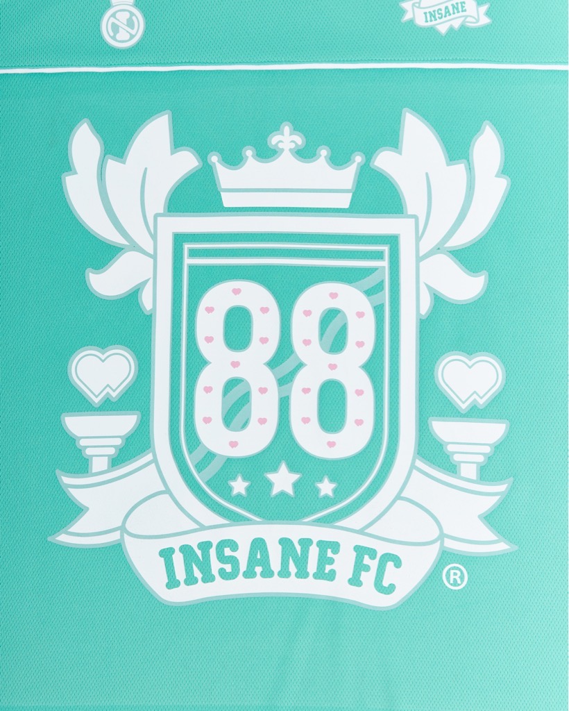 Insane® Jersey - Mint