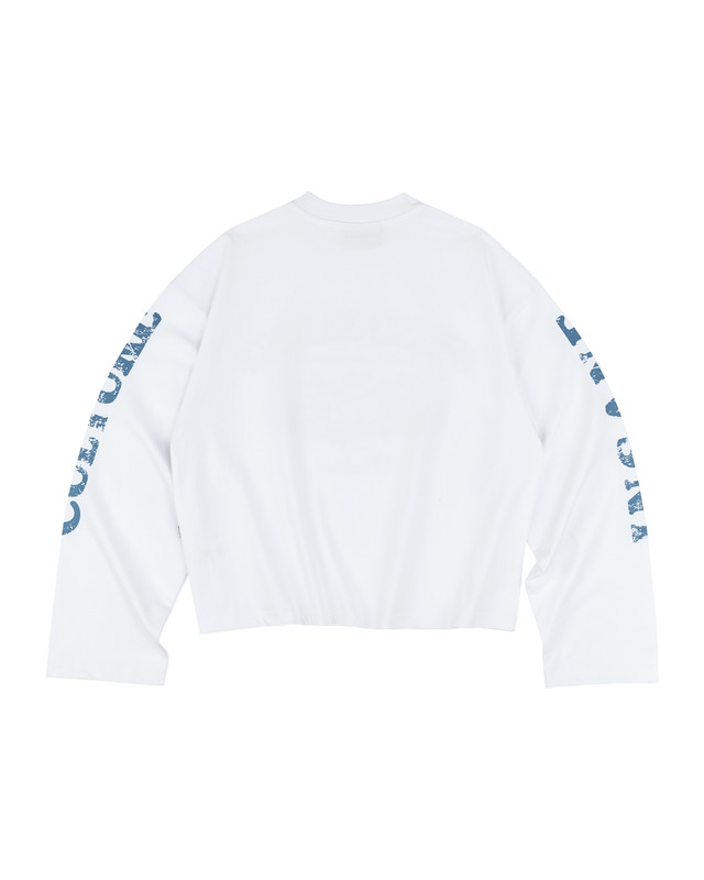 Insane® Silent Peaks LongSleeve - Blue