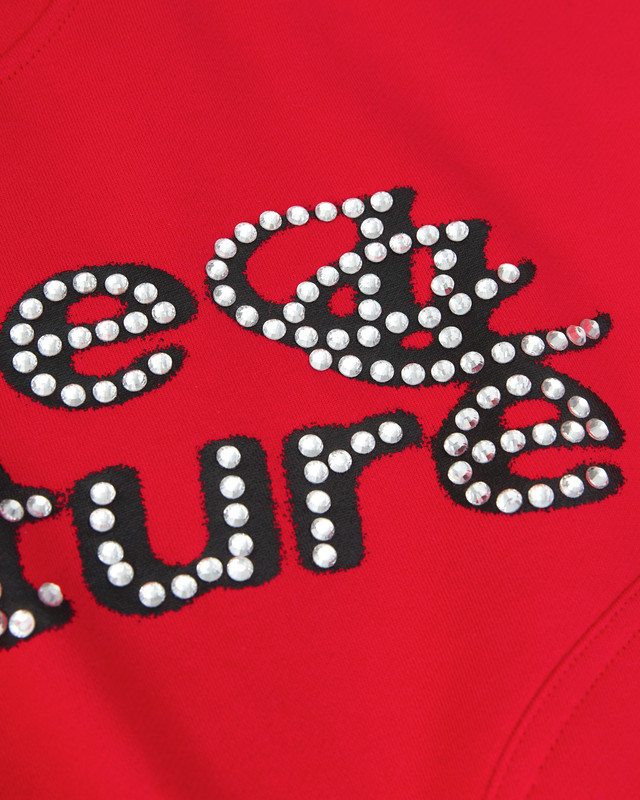 Insane® Sparkle Hoodie - Red