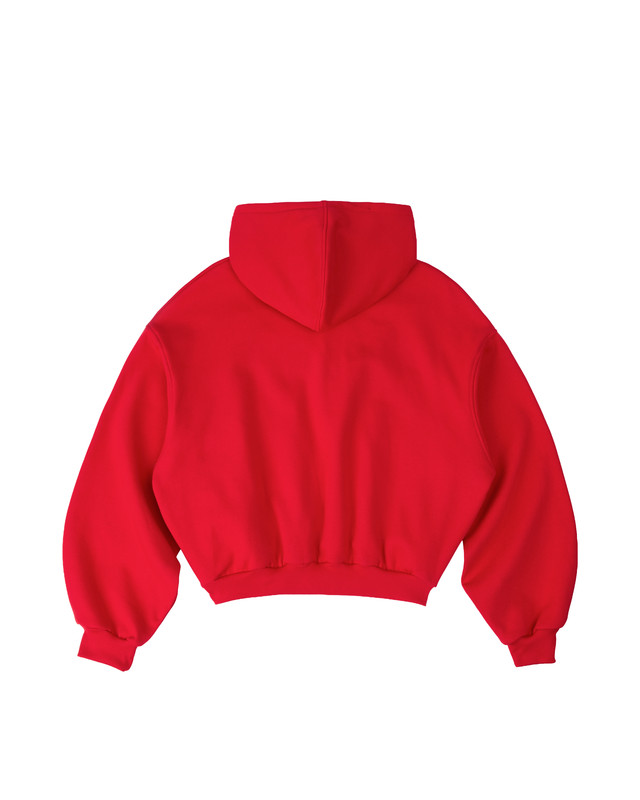 Insane® Sparkle Hoodie - Red