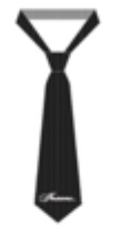 Insane® Campus Tie - Black